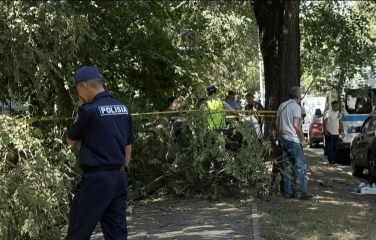 Алматыда әйелдің өлімінен кейін ағаш бұталары кесіліп жатыр