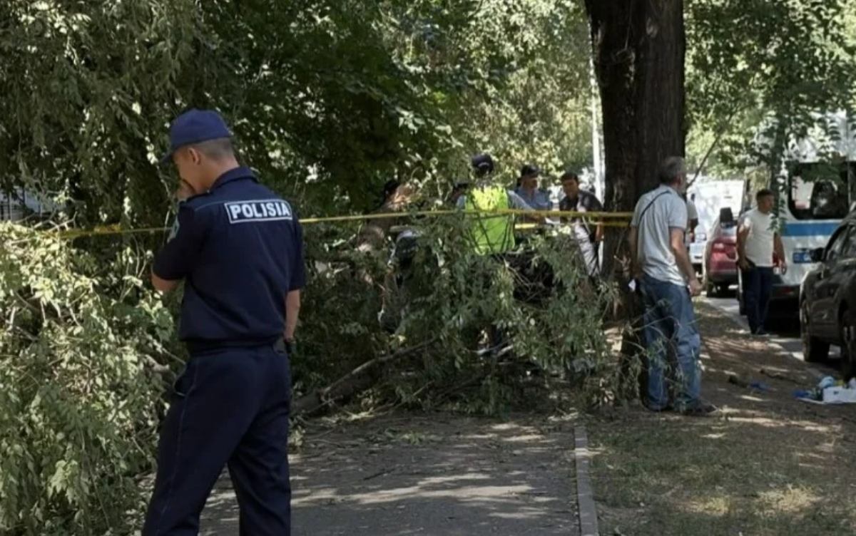 Алматыда қыз үстіне ағаш құлап мерт болды