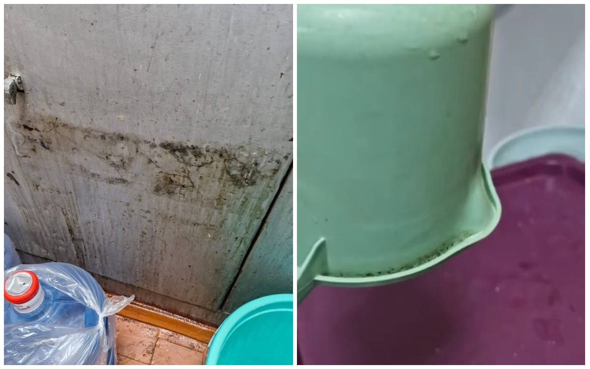 "Ыдыстар көгеріп кеткен": Алматыдағы мектеп асханасының жағдайы ата-аналарды шошытты