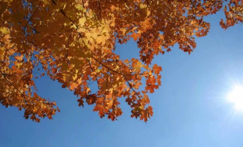 Қазақстанда +25 градусқа дейін күн жылиды