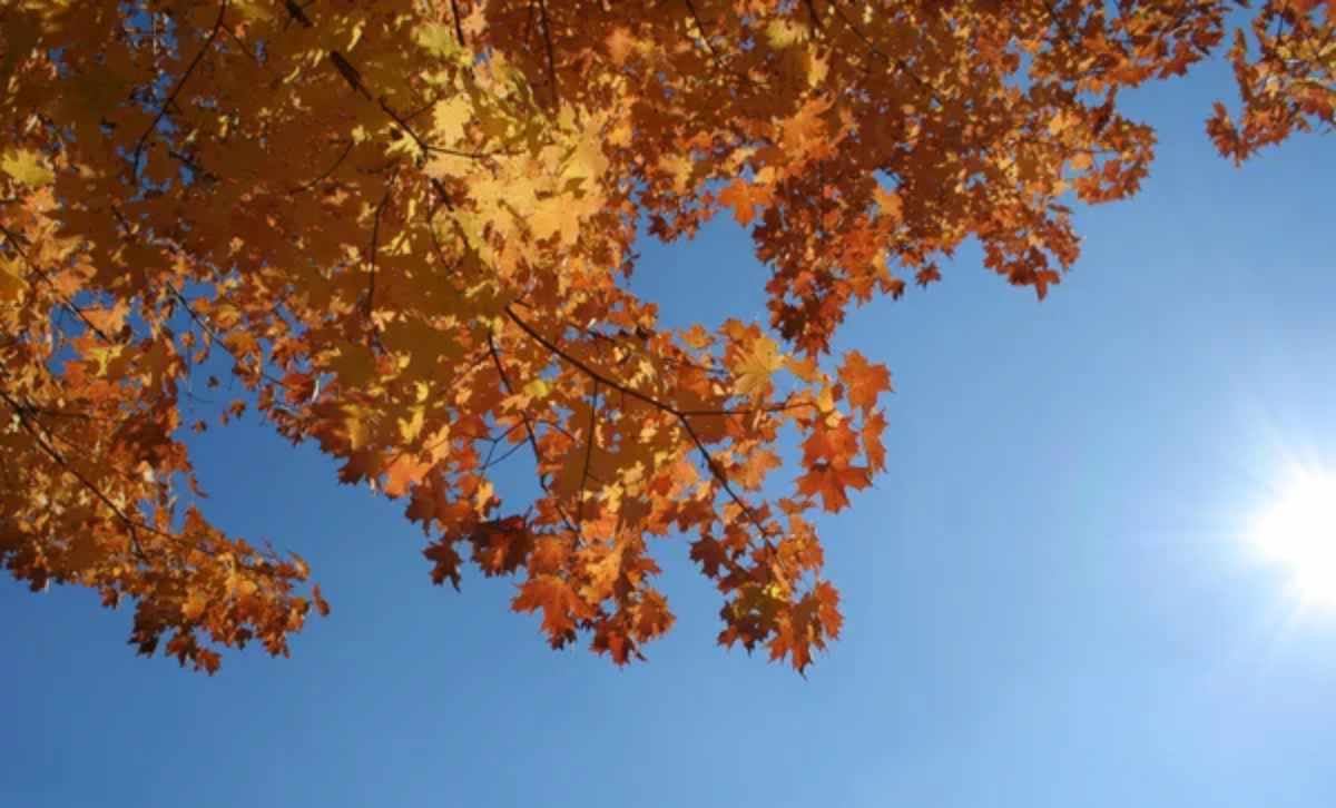 Қазақстанда +25 градусқа дейін күн жылиды