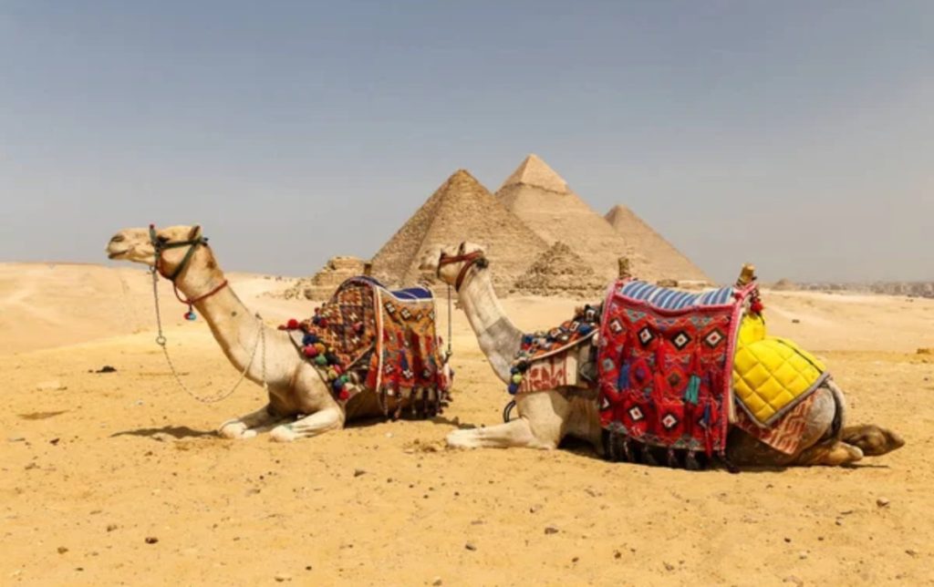 Мысырда демалу қымбаттамақ: Туристерге жаңа ереже енгізіледі