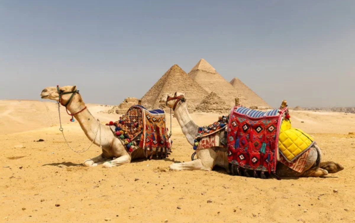 Мысырда демалу қымбаттамақ: Туристерге жаңа ереже енгізіледі