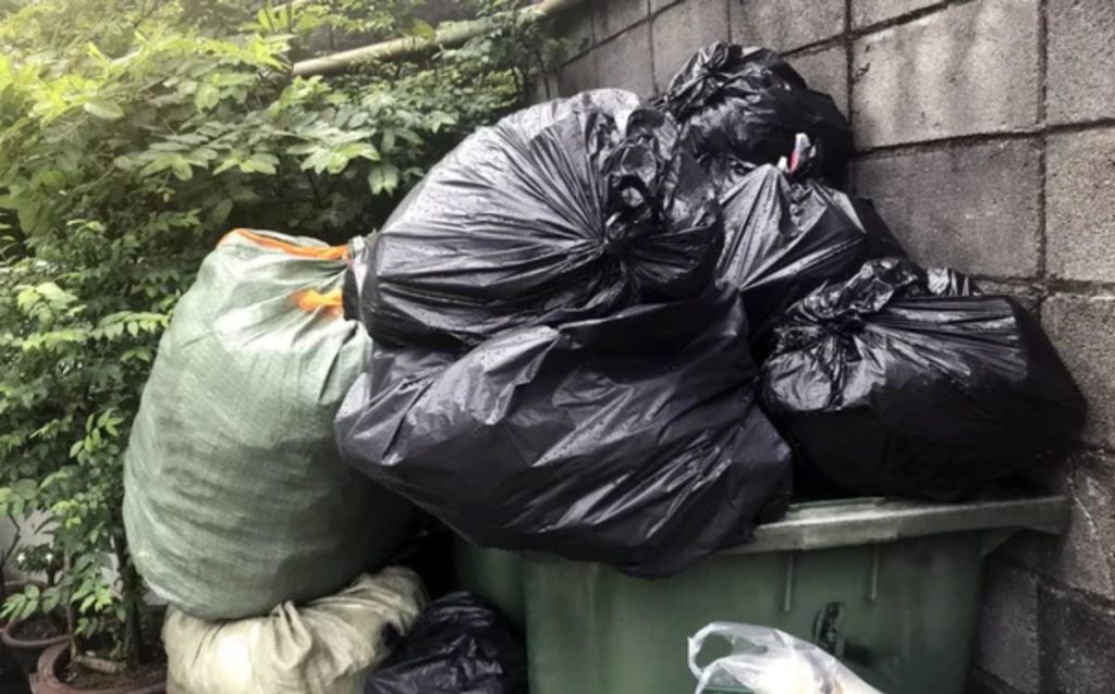 Семейде қоқыс жәшігінен нәрестенің денесі табылды