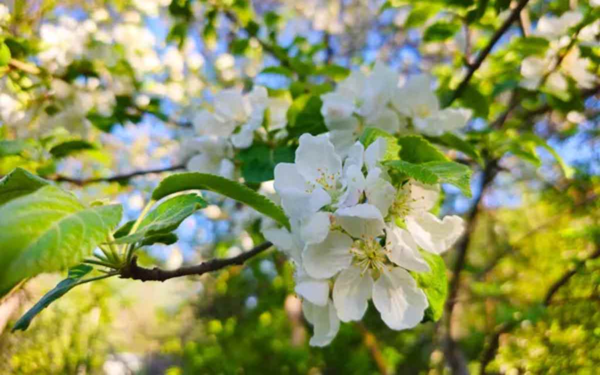 Қазақстанда ауа температурасы +20 градусқа дейін жылынады